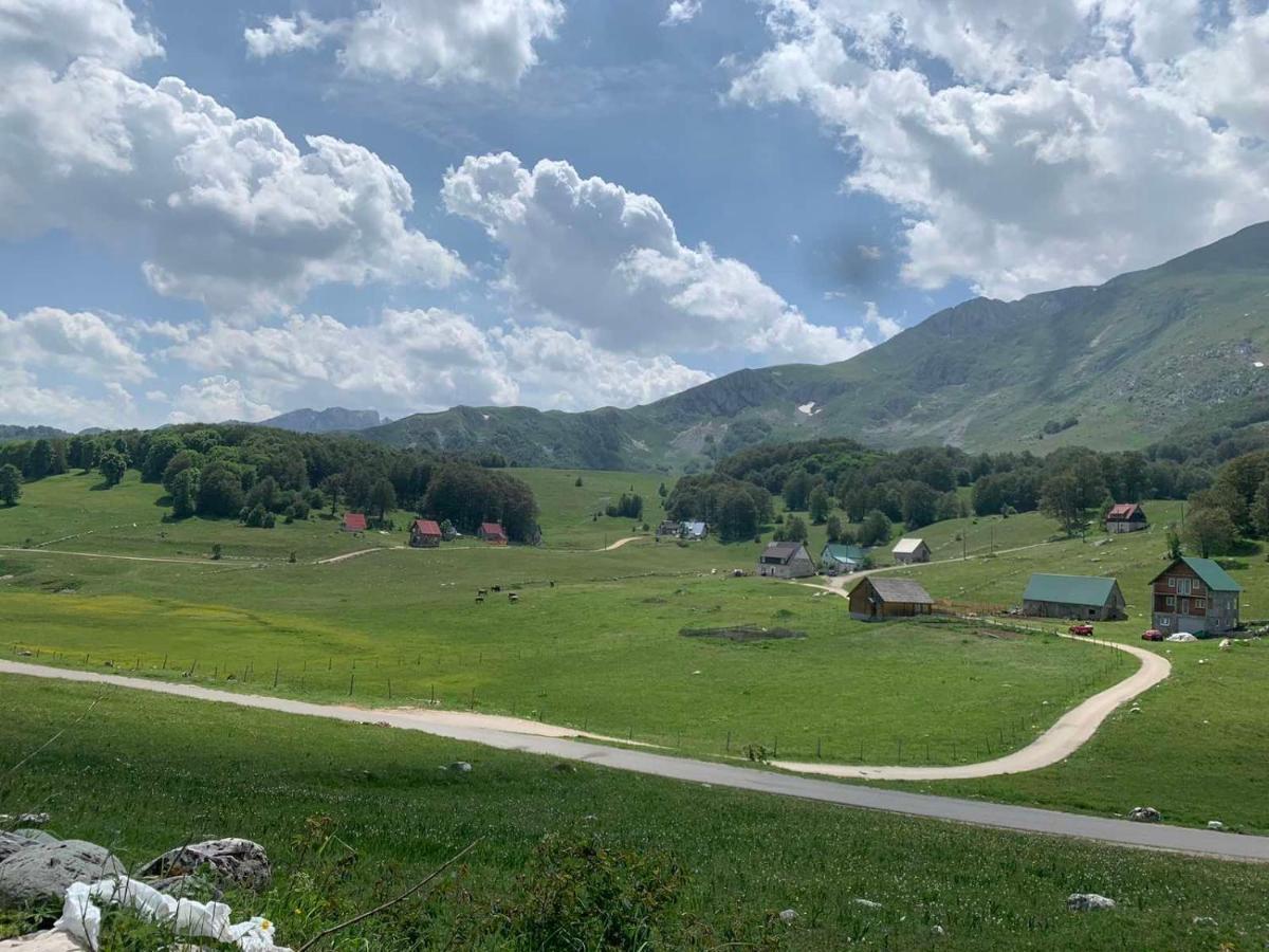 Blackberry House Zabljak מראה חיצוני תמונה