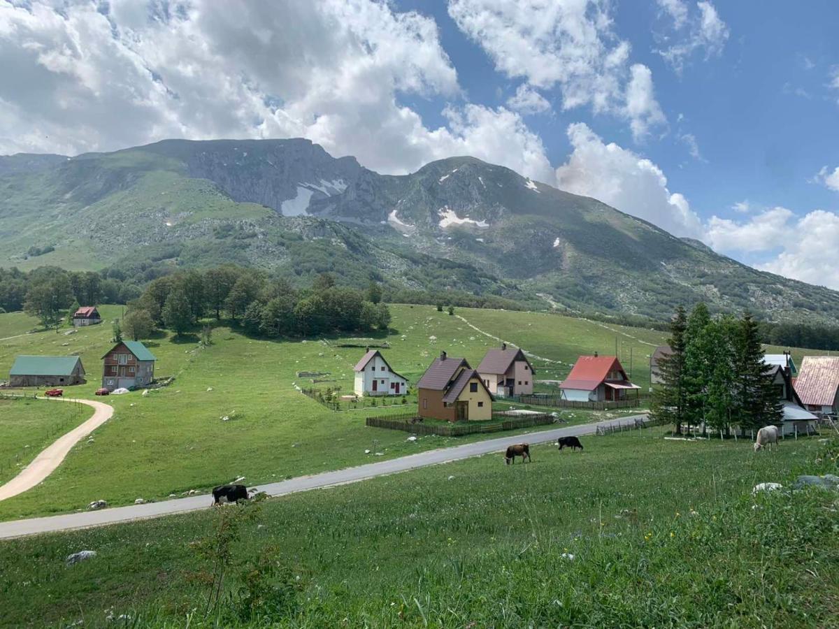 Blackberry House Zabljak מראה חיצוני תמונה